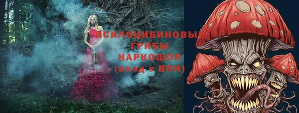 каннабис Новодвинск