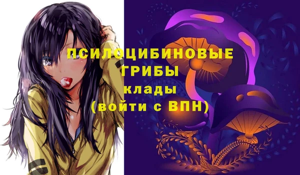 ECSTASY Новокубанск