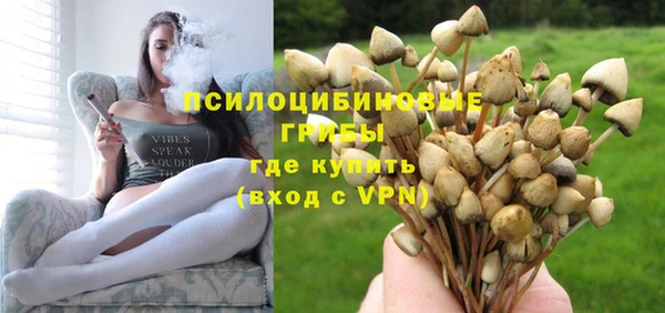 дурь Новозыбков