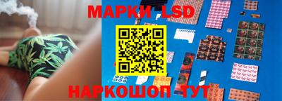 МДПВ Волгодонск