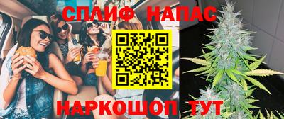 МДПВ Волгодонск