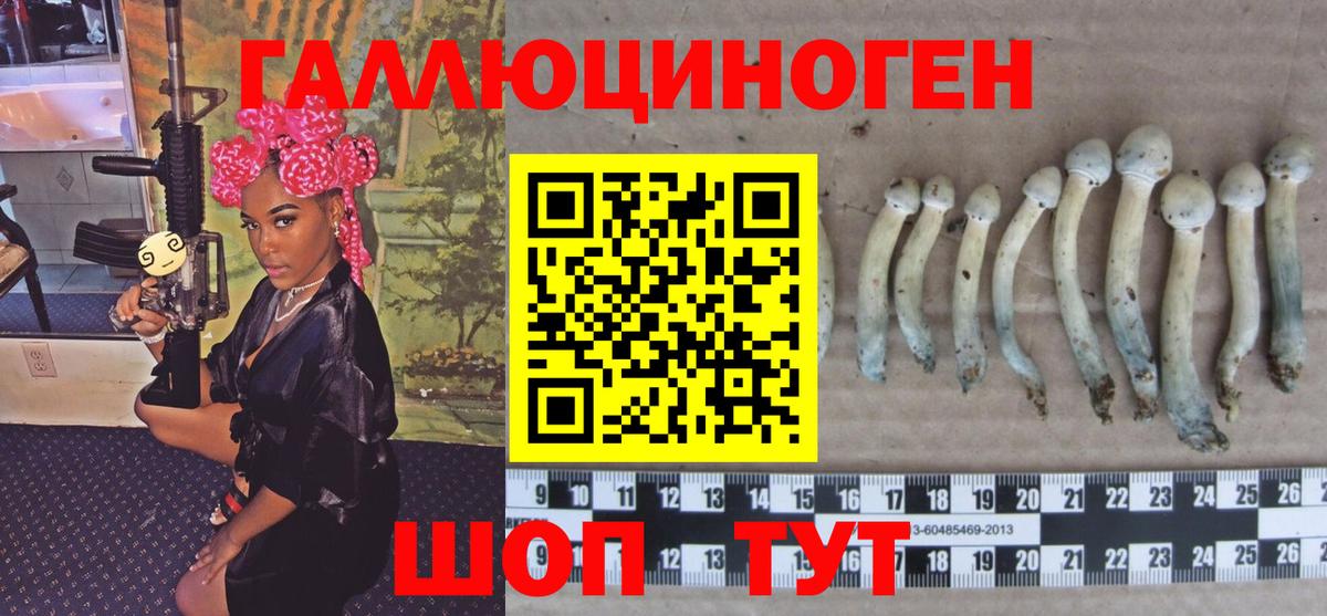 Псилоцибиновые грибы ЛСД  Вход с VPN  Карпинск 